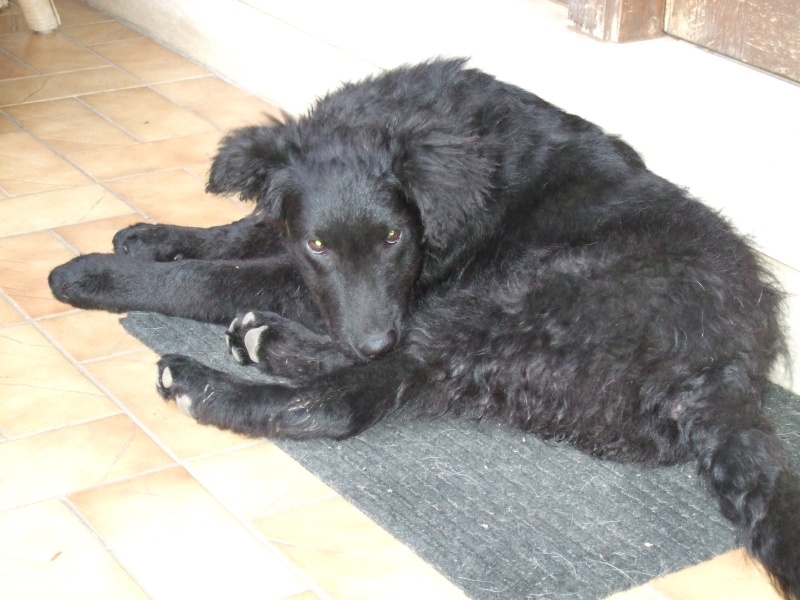 Ostern 2007 Orleshausen 095 